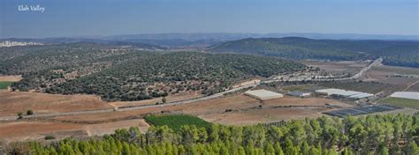 Israel Private Tour Elah Valley