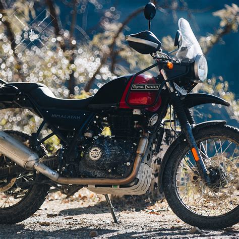 Ein motorrad, das so wunderbar gegen den strom. 2021 Royal Enfield Himalayan Pre-Order | Throttle Company