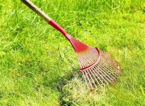 Some lawns might need overseeding once a year if drought or disease threaten the grass, and other. Overseeding Lawn: How To Plant Grass Seed On Existing Lawn (With images) | Landscape care ...