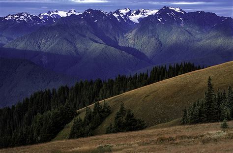 Olympic Mountains In Olympic National Park Wa Focal World