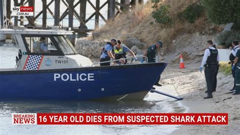 16 Year Old Girl Dies After Suspected Shark Attack In Perth Sky News Australia
