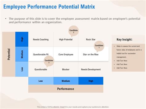 Employee Performance Potential Matrix Development Ppt Powerpoint