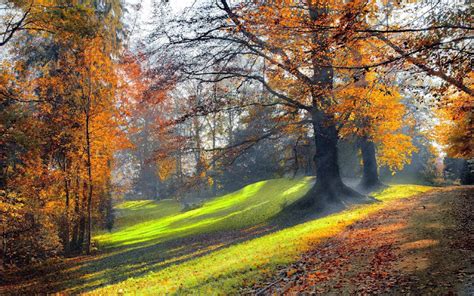 Hintergrundbild in windows 10 ändern. Herfst achtergronden met park | HD Wallpapers