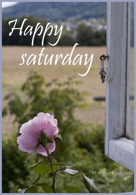 Sometimes morning wishes generate some feelings towards the person who love and remind them that you care for them. Happy Saturday Pictures, Photos, and Images for Facebook ...