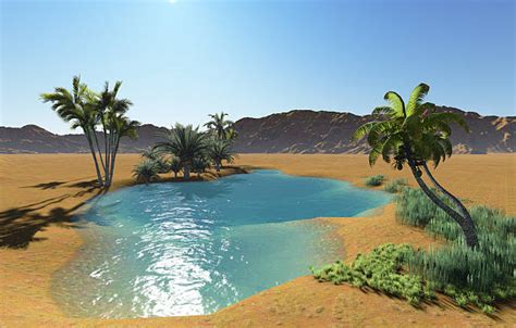 Royalty Free Desert Oasis Pictures Images And Stock Photos Istock