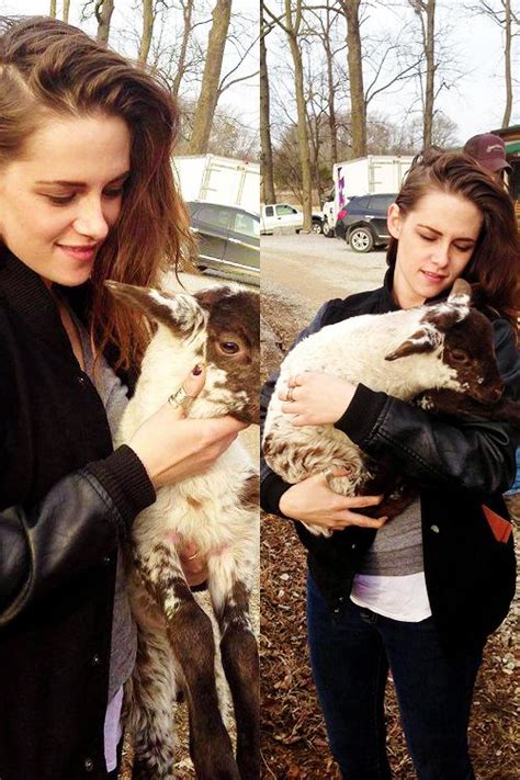 Actress Kristen Stewart Holds A Baby Lamb Shortmountain Distillery