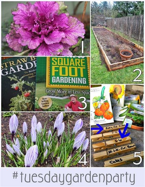 Check Out All The Gardening Advice Tips Tricks Recipes And