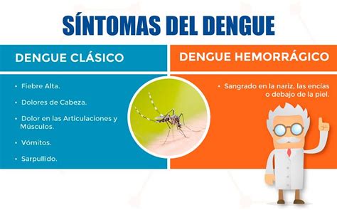 Dengue Sin Mosquito No Hay Enfermedad Salud Net Ar