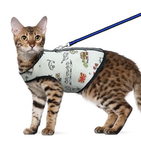 Catios don't have to be large or expensive to give your cat all the stimulation that being outside to watch the birds and bugs go by. Cat Walking Harness and Leash Escape Proof Adjustable Vest ...