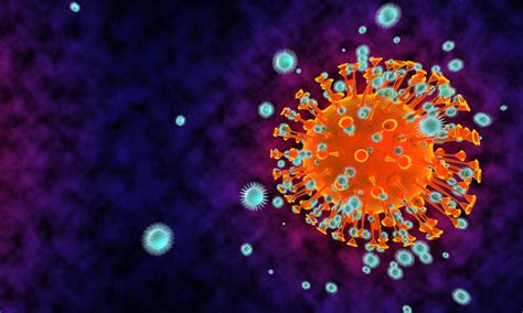 Here are the findings in a dw fact check: Infected cells in lungs could explain long-term COVID-19 ...