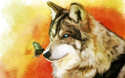 Wolf And Butterfly By Vividcrayonxd On Deviantart