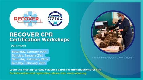 Ovtaa Recover Cpr Workshops Portland Veterinary Medical Association