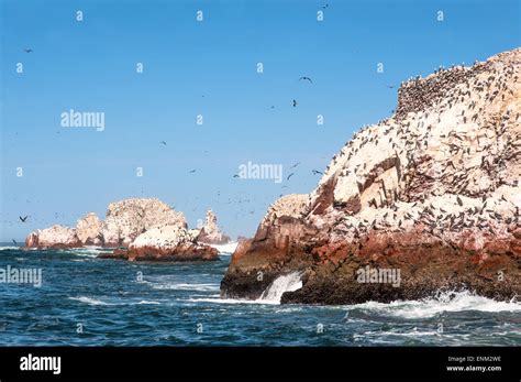 Ballestas Islands Paracas National Reserve In Peru Stock Photo Alamy