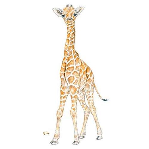 Giraffe Nursery Art Print Baby Giraffe Wall