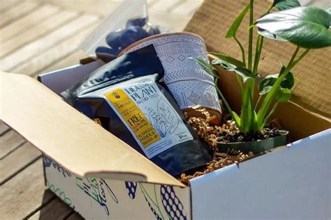 10 Best Plant Subscription Boxes Of 2024 Spiritvibez