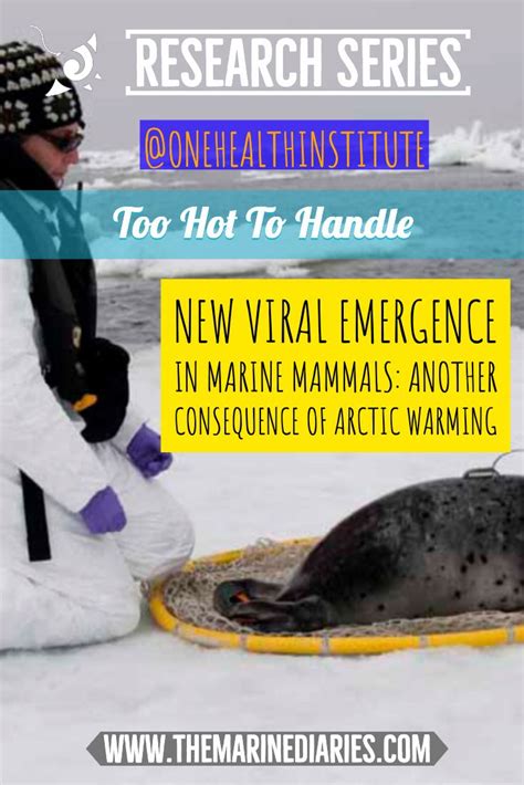 New Viral Emergence In Marine Mammals Marine Mammals Mammals Marine