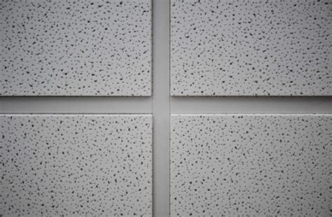 Use a roller and paint both the ceiling tile and the metal frames that hold the tiles in place. Acoustical Ceiling Tile Painting, Installation and ...