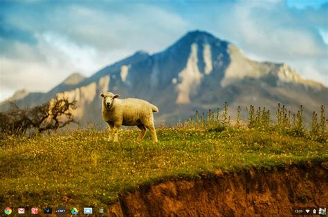 Note that several other versions of chromium os have been released on the raspberry pi. 50+ Chrome OS Wallpapers on WallpaperSafari