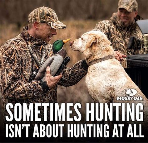 Quotes About Duck Hunting 32 Quotes