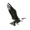 Great Animated Eagle Gifs At Best Animations
