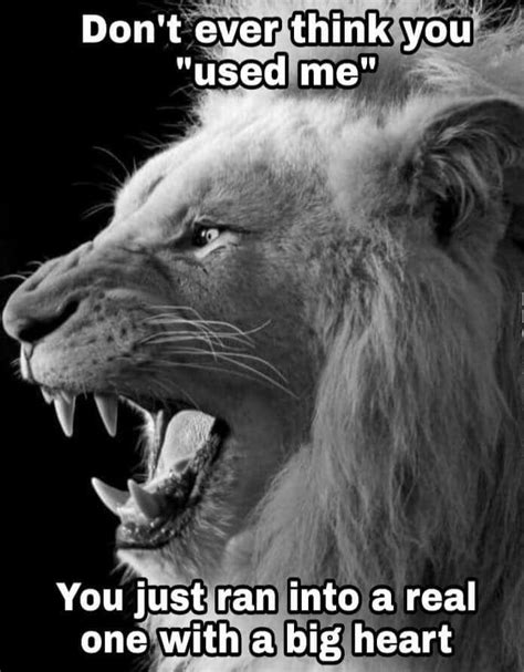 Leo Zodiac Quotes Leo Traits Wild Lion Warrior Quotes You Used Me
