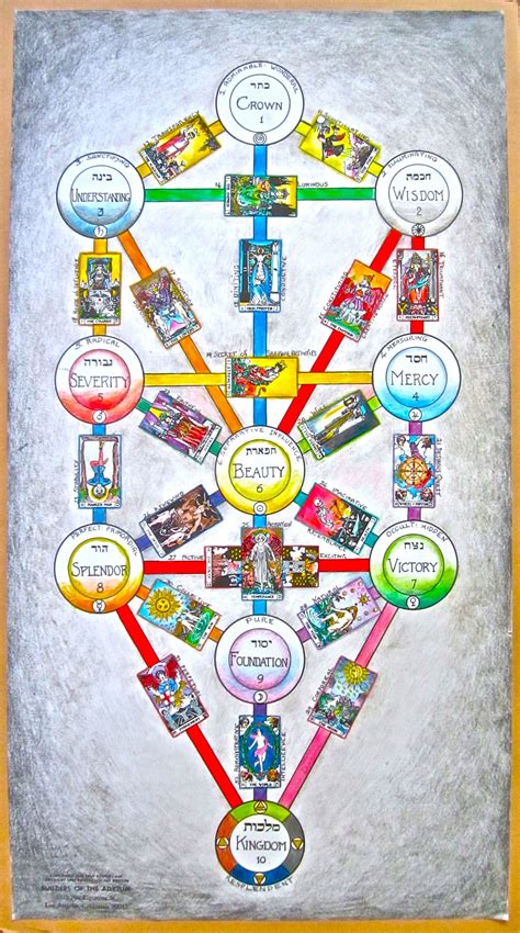 Tree Of Life Tarot Card Meaning Particia Sorenson