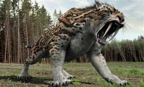 8 Most Mysterious Extinct Cat Breeds Comeshop