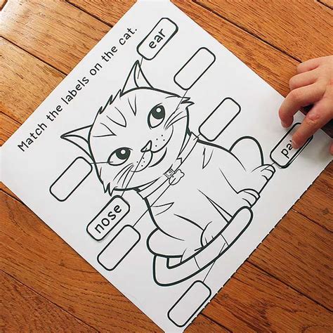 Printable Cat Activity Pack With Games Coloring Pages And More Sunny