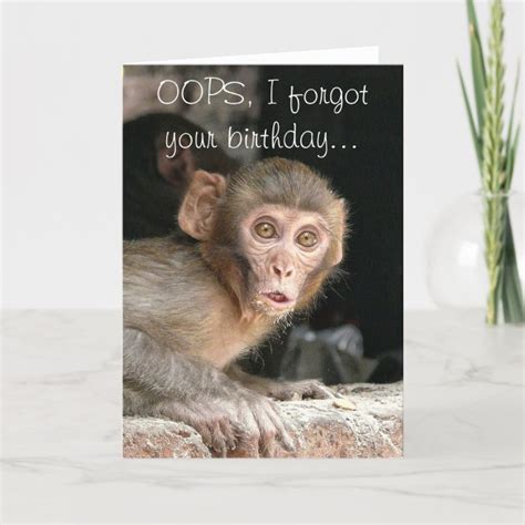 Funny Monkey Birthday Greeting Card