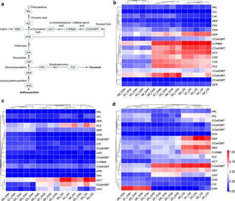 Dna Methylation Levels Of Annotated Dmgs Involved In A Download Scientific Diagram