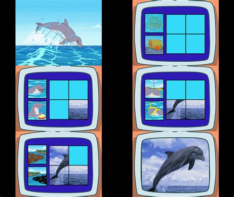 Go Diego Go Bottlenose Dolphin By Mdwyer5 On Deviantart