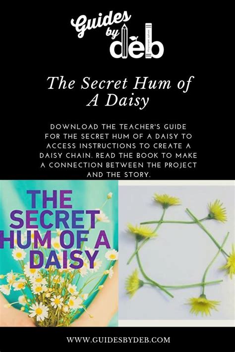 The Secret Of A Daisy Book Cover With An Image Of Flowers And Text On It