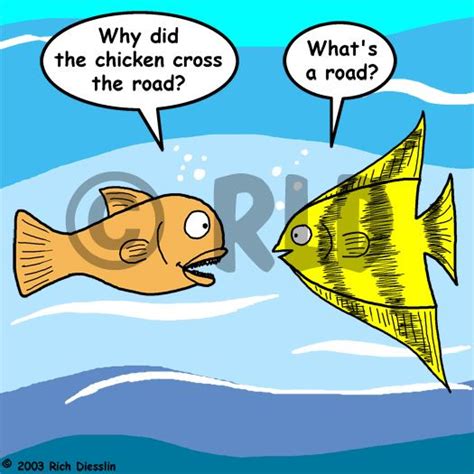 Look at the crossing sign if it says cross then cross the road. Fish why did the chicken cross the road joke | Fish Humor ...