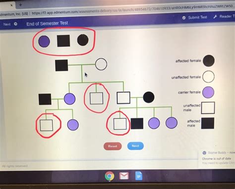 This video walks you through how to determine the genotypes of a person based on a pedigree. Identify the genotype for this pedigree chart - Brainly.com