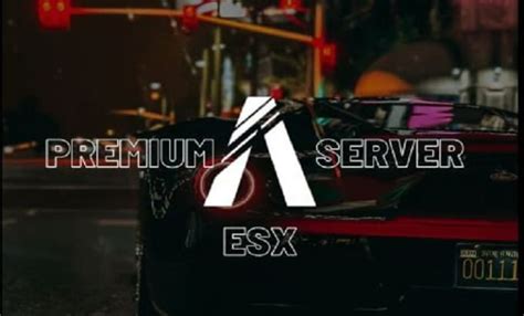 Create Professional Esx Fivem Server With Premium Scripts By Thomy