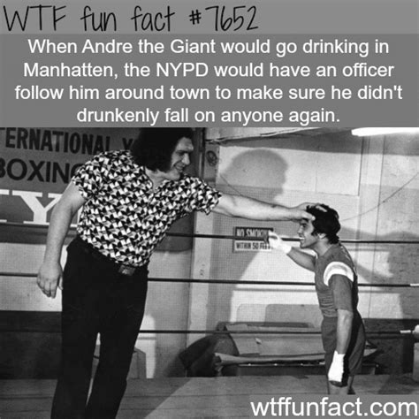 Andre The Giant Wtf Fun Facts