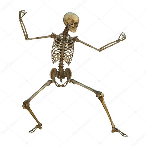 Skeleton Photo
