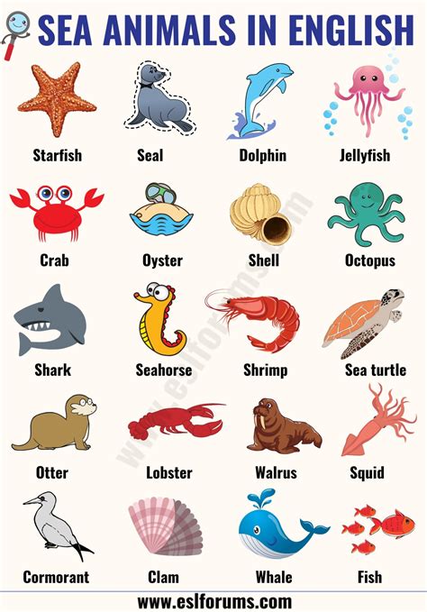 Aquatic Animals List A Z