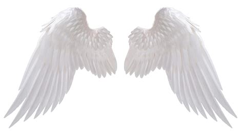 Angel Wings Wings Png Angel Wings Pictures Angel Wings Png