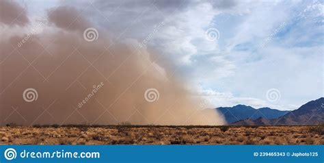 Haboob Dust Storm In The Desert Stock Image Image Of Sand Weather