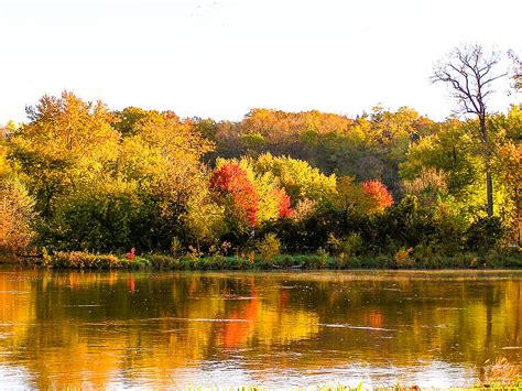 Autumn Reflections On The Iowa River Photograph By Cynthia Woods Fine