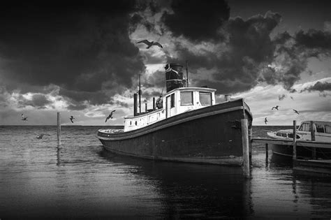Harbor Tugboat In Black And White With Flying Gulls Photograph By