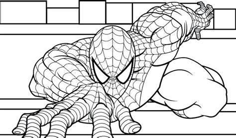 Dibujos De Spiderman Para Colorear E Imprimir El
