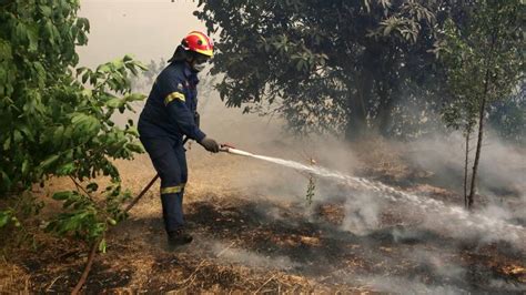 Εισαγγελική έρευνα για την καταστροφική φωτιά στη βαρυμπόμπη. Φωτιά στη Νέα Μανωλάδα: Κλειστή η εθνική οδός Πατρών ...