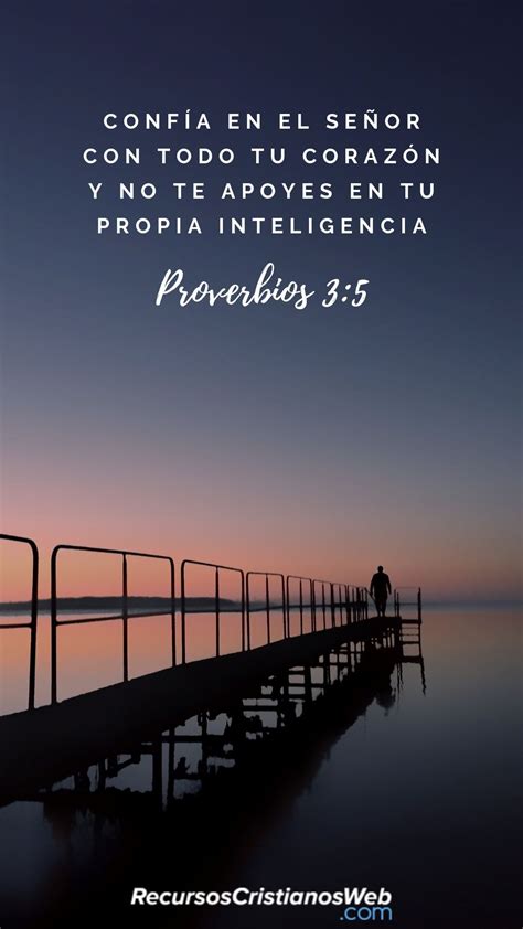 Más De 60 Frases De Proverbios De La Biblia Para La Vida Y La Reflexión