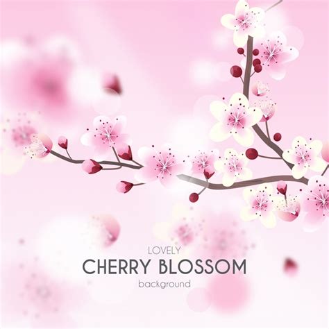 Cherry Blossom Background Free Vector