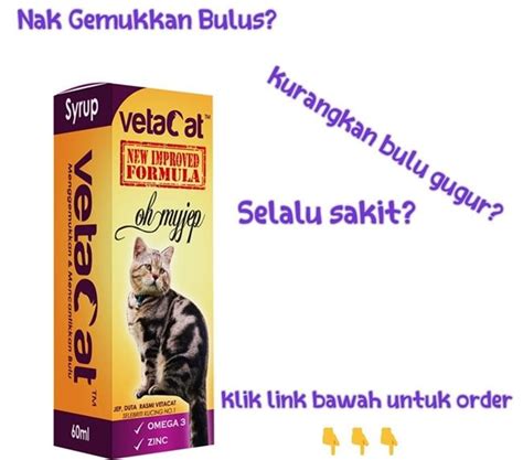 Jetzt originaltickets für cara direkt bei eventim bestellen. Ubat Penyakit Kurap Kucing - Klemburan s