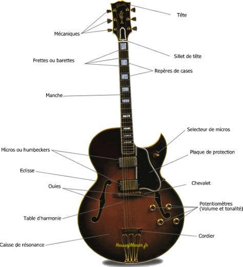 anatomie de la guitare youssefmanar fr