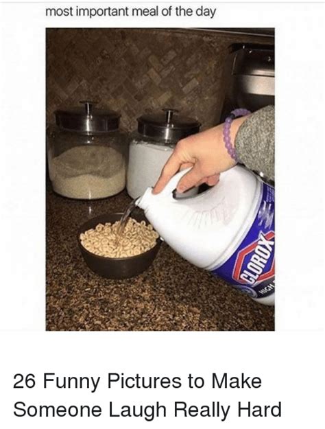 most important meal of the day 26 funny pictures to make someone laugh really hard funny meme