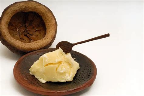 Is Shea Butter Edible Full Guide To Cooking With Shea Butter Eat